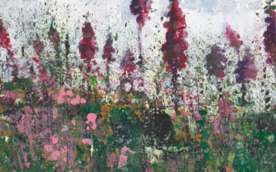Foxgloves Collection Now Available