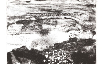 The Cape Catalogue, Cards and Etchings