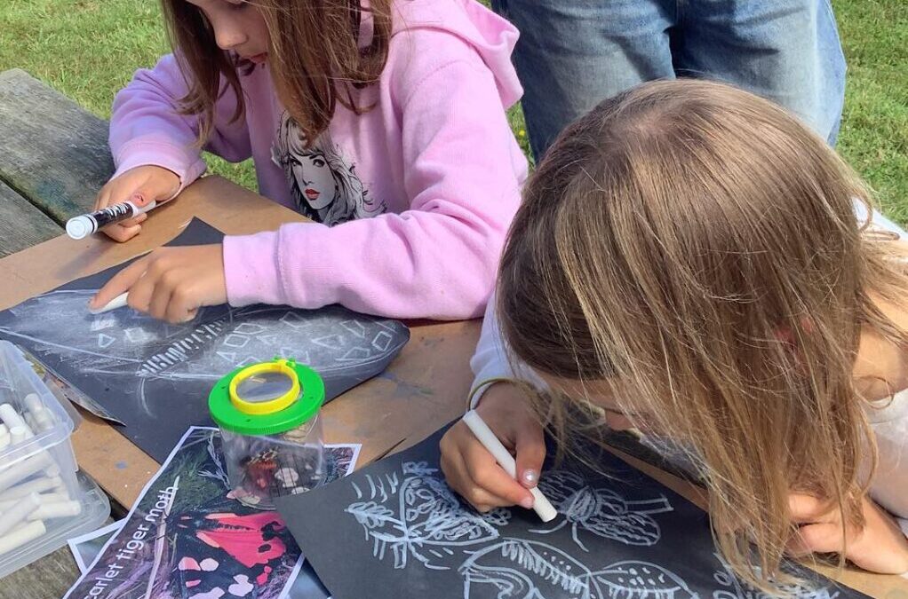 Free Workshop: Marvellous Moths!